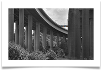 Thelwall Viaduct - Carol Sparkes